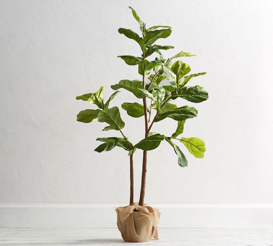 Faux Potted Fiddle Leaf Tree Pottery Barn Australia